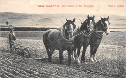 M012325 "NEW ZEALAND (THE HOME OF THE PLOUGH.)" -VERA FOTO-CART NON SPED - Nouvelle-Zélande