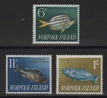 Ile Norfolk - N°30 + 34 + 35 - Faune Marine - Poissons - Cote 6€ - ** Neuf Sans Charniere - Norfolk Island