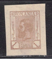 ROMANIA Like Scott # 117 Unused - Proof ? Postal Stationery ? Not Sure - Andere & Zonder Classificatie