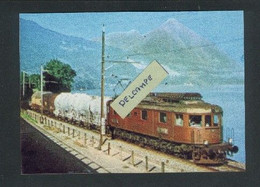 Transit De Voyageurs Et De Marchandisessur Le Réseau International Berne-Loestchberg-Simplon En 1977 - Reproduction - Autres & Non Classés