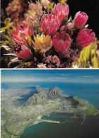 AFRIQUE Du SUD - Vue Aérienne Ville Le CAP - Bouquet De Fleurs - Cape Town - Südafrika