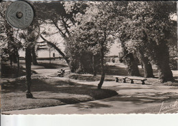 44 -Très Belle Carte Postale Semi Moderne De Vue De SAINT NAZAIRE   Le Jardin Des Plantes - Saint Nazaire