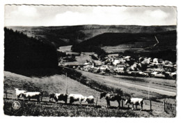 DOHAN PANORAMA - Bouillon