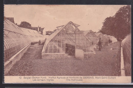 Institut Agricole Et Horticole De Bierbais, Mont Saint Guibert, Les Serres à Vignes - Mont-Saint-Guibert