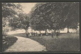 Carte P De 1914 ( Morrens / Place De L'Orme ) - Morrens