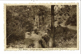 CPA Carte Postale-Belgique-Roisin Caillou Qui Bique-la Honnelle Et Roche Pelée  -VM28416 - Honnelles