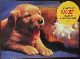 CPM, Découpée Fantaisie Humour Chien (Chiot) En Situation " Je Mets Le Paquet Joyeux Anniversaire,(Bubble's Card - CIM) - Anniversaire