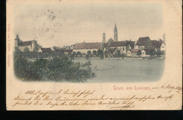 Allemagne -- Gruss Aus Lauingen -- 1899 - Lauingen