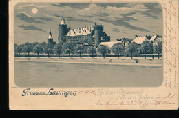Allemagne -- Gruss Aus Lauingen -- 1902 - Lauingen