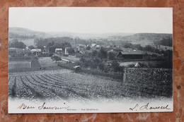 BIEVRES (91) - VUE GENERALE - Bievres