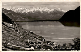 Epesses Et Les Alpes Vaudoises (10853) * 29. 7. 1948 - Épesses