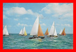 CPA BOGNOR REGIS (Angleterre)  International 505 Class Dinghies...M590 - Bognor Regis