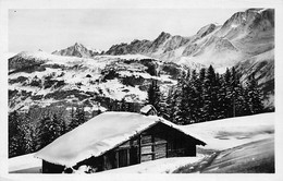 Combloux      74         La Chaîne Des Hautes Aiguilles    (voir Scan) - Combloux