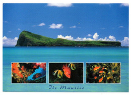 Ile MAURICE --- Multivues -- Le Coin De Mire .............timbre Au Verso - Mauritius