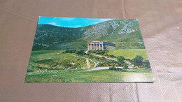 CARTOLINA SEGESTA IL TEMPIO- NUOVA NON VIAGGIATA - Trapani