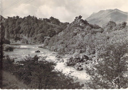 64 - Bidarray - La Nive Et Le Rocher De L'Aigle - Bidarray