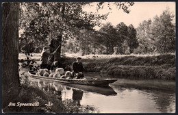 E8997 - Spreewald Blotach - Sander - Luebben (Spreewald)