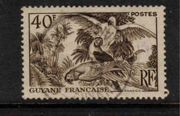 FRENCH GUIANA 1947 40f Brown SG 240 U #VU19 - Otros & Sin Clasificación