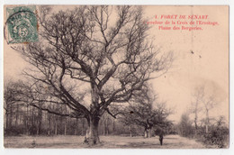Delcampe - 8599 - Forêt De Sénart ( 91 ) - Carrefour De La Croix De L'Ermitage ( Plaine Des Bergeries ) - N°4 - - Sénart