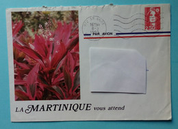 MARTINIQUE 1993 ENVELOPPE ILLUSTRÉE RECTO VERSO, FLEURS, CACHET SAINTE ANNE - Lettres & Documents