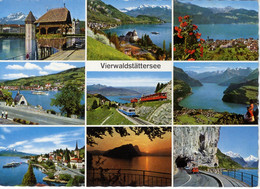 Delcampe - Vierwaldstattersee, Luzern, Vitznau, Gersau, Brunnen, Rigi, Weggis - Zwitserland, Swisse, Schweiz - Wald