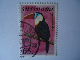 SURINAME  USED    STAMPS   BIRD BIRDS - Surinam