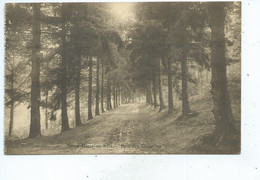 Notre Dame Aux Bois Bois Des Capucins - Overijse