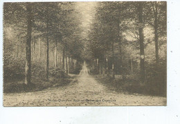 Notre Dame Aux Bois Drève Des Capucins - Overijse