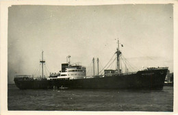 DMITRI DORSKON * Carte Photo Bateau Cargo Russe Paquebot Commerce Marine Marchande ? à Le Havre * Russia Russie - Otros & Sin Clasificación