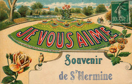 Ste Hermine * Souvenir Du Village * Je Vous Aime ! - Sainte Hermine