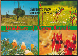 °°° 24981 - WESTERN AUSTRALIA - GREETINGS FROM ROCKINGHAM , WILDFLOWERS - With Stamps °°° - Otros & Sin Clasificación