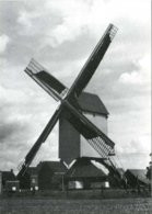 GEEL - Elsum (Antw.) - Molen/moulin - De Elsummolen Of Molen Van't Veld Ca. 1980, Op Zijn Vroegere Locatie In Bedrijf - Geel