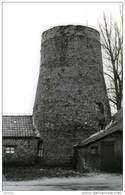 Buurtschap OPSTAL Bij Buggenhout (O.Vl.) - Molen/moulin - Romp Van De Plaatsemolen Of Patattenmolen In 1981. MAXIKAART - Buggenhout