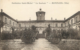 / CPA FRANCE 01 "Montluel, Institution Saint Michel, La Saulsaie" - Montluel