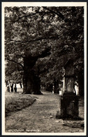 A3054 - TOP Lichtenwalde - Verlag Neubert Chemnitz - Frankenberg