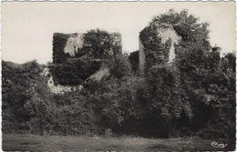 37  Semblancay -  Ruines Du  Vieux Chateau - Semblançay