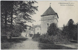 37  Semblancay -  Chateau De Dolbeau - Semblançay