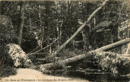 Paris * 12ème * Bois De Vincennes * 3 Cpa * Le Cyclone Du 16 Juin 1908 * Vues Des Dégâts - Parks, Gardens