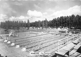 37-AMBOISE- LA PISCINE - Amboise