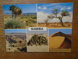 Namibia , Multi-vues "" Beau Timbre Leopard "" - Namibia