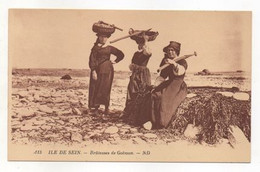 Audierne - Ile De Sein : Les Ramasseuses De Goëmon - Ile De Sein