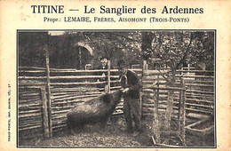 Titine - Le Sanglier Des Ardennes (animée, Lemaire Frères Aisomont) - Trois-Ponts