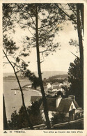 Tréboul * Vue Prise Au Travers Des Bois D'isis - Tréboul