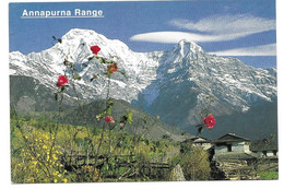 NEPAL  -  ANNAPURNA, VIEW FROM GHANDRUNG - Népal