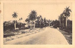 CUBA - HABANA La Havane : Carreta Central / Central Road - CPA - (Caraïbes Antilles West Indies ) Palmier Palm Trees - Cuba