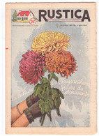 RUSTICA. 1953. N°18. La Culture Des Chrysanthèmes Fleurs Du Souvenir - Giardinaggio