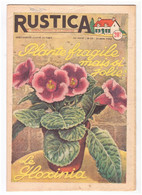 RUSTICA. 1953. N°25. Plante Fragile Mais Si Jolie. Le Gloxinia - Jardinería