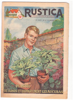 RUSTICA. 1956. N°3. Plantes De Jardin Et D'appartement. Les Aucubas - Garden