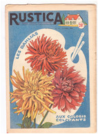 RUSTICA. 1956. N°16. Les Dahlias Aux Coloris éclatants - Jardinería