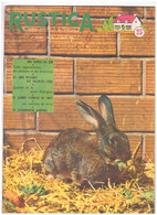 RUSTICA. 1956. N°32. Nos Lapins En été - Jardinería
